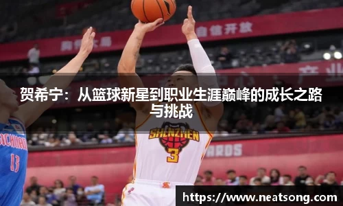 贺希宁：从篮球新星到职业生涯巅峰的成长之路与挑战
